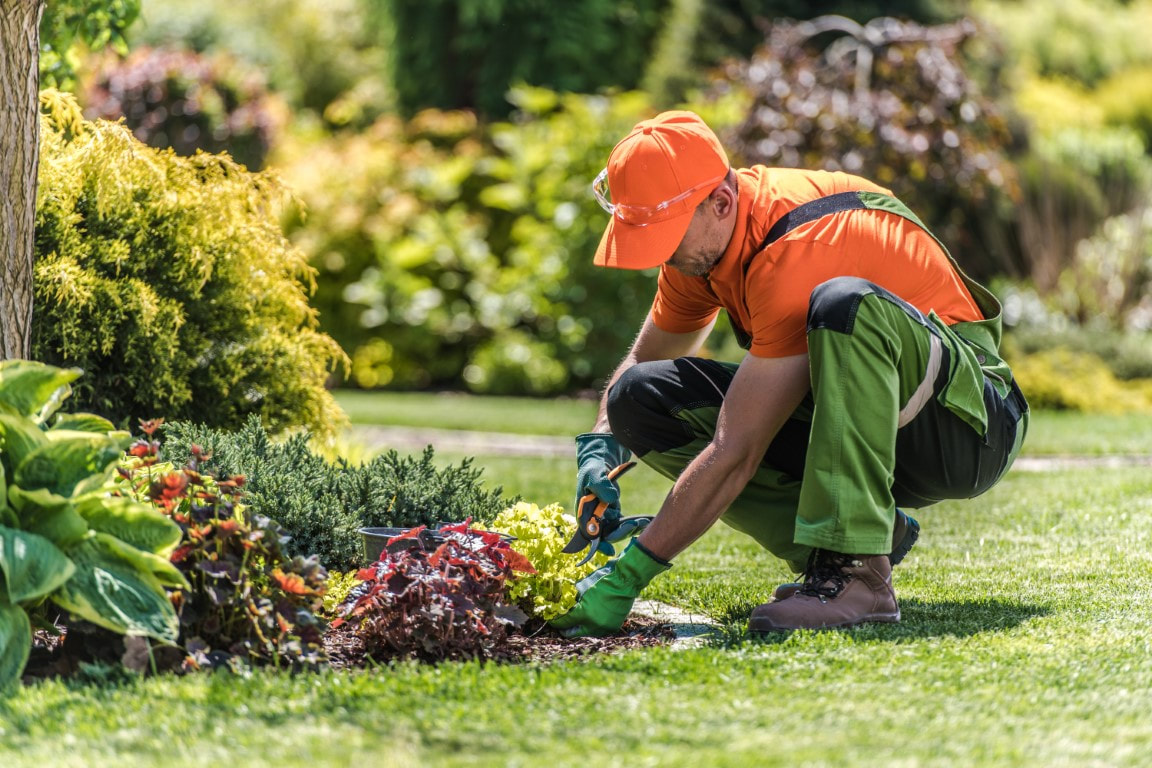 Yard Maintenance Services in Bedford, MA
