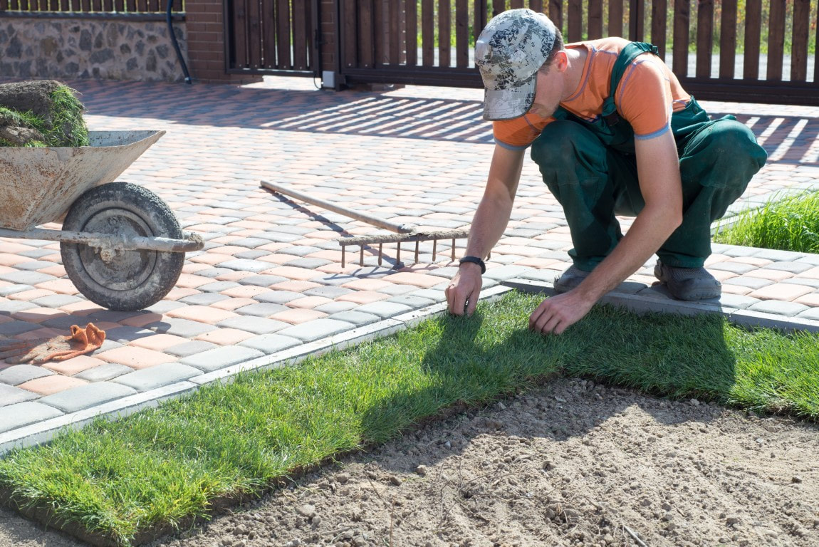 Landscape Services and Design in Bedford, MA
